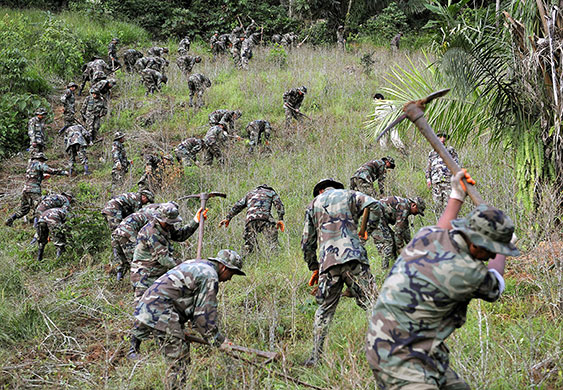 24 hours in pictures: Yungas, Bolivia: Bolivian soldiers destroy a coca plantation