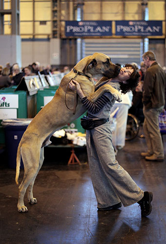 Crufts: Dogs And Owners Gather For 2010 Crufts Dog Show