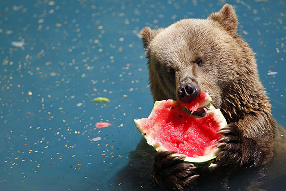 24 hours in pictures: 24 hours in pictures