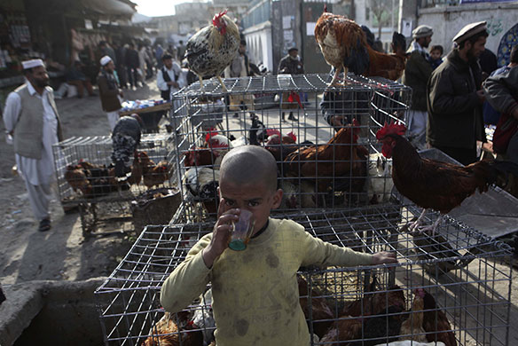 24 hours in pictures: 24 hours in pictures