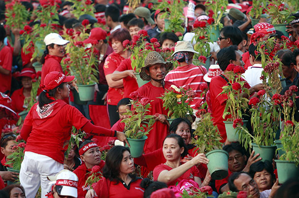 24 hours: Bangkok, Thailand: Supporters of Thaksin Shinawatra pass plants