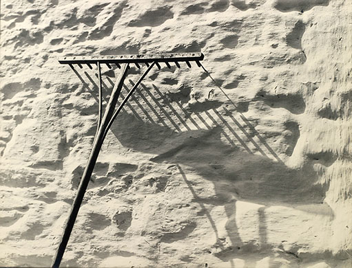 Margaret Hardman photos: Margaret Hardman photo exhibition 