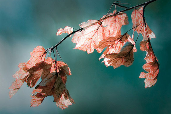 Signs of spring 2010: Readers photographs gallery on Flickr