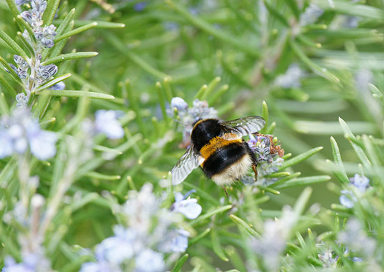 Signs of spring 2010: Readers photographs gallery on Flickr