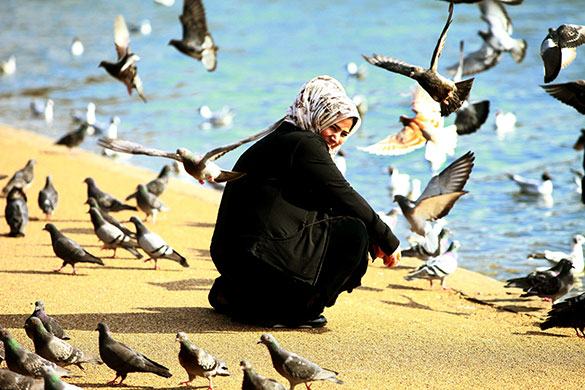 Has spring sprung?: Pigeons in Hyde Park