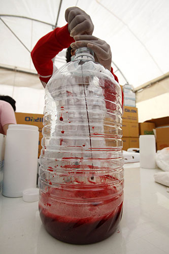 Thailand blood protest: A nurse deposits collected blood into a bottle