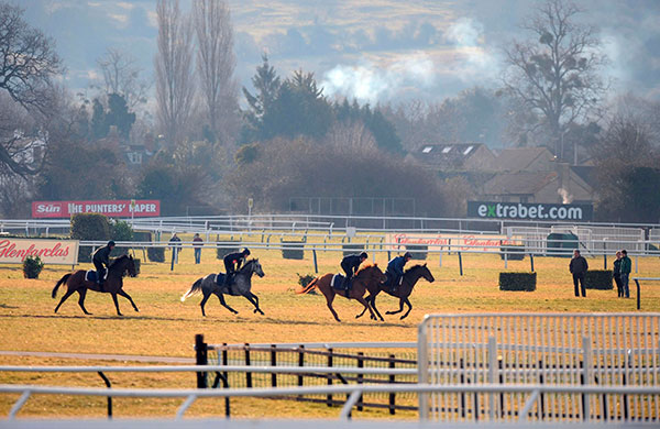 Cheltenham: Horse Racing - 2010 Cheltenham Festival -  Day One