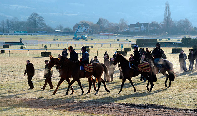 Cheltenham: Horse Racing - 2010 Cheltenham Festival -  Day One