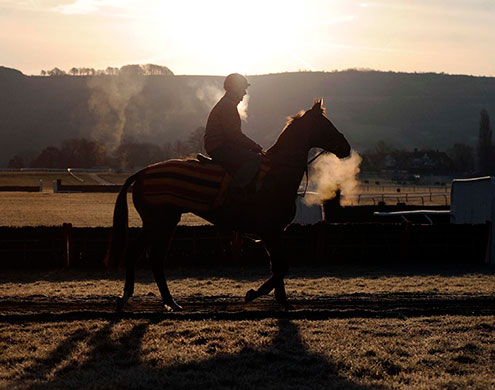 Cheltenham: Horse Racing - 2010 Cheltenham Festival -  Day One
