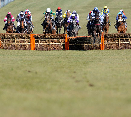 Cheltenham: Cheltenham Festival-Champion Hurdle Day