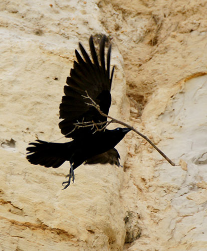 Signs of spring 2010: Readers photographs gallery on Flickr