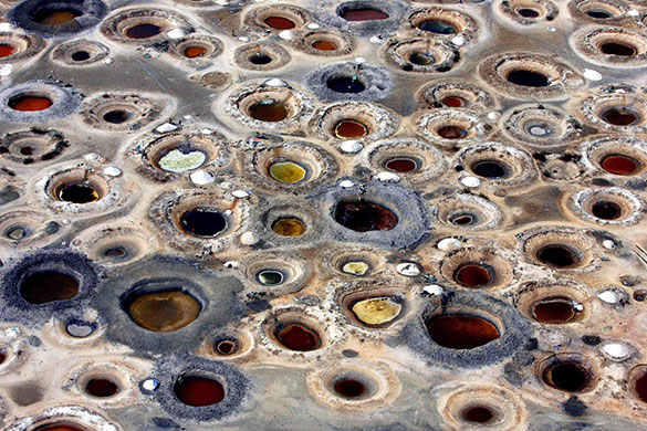 Eyewitness: Workers around waterholes dug on salt flats on the Senegalese coastline