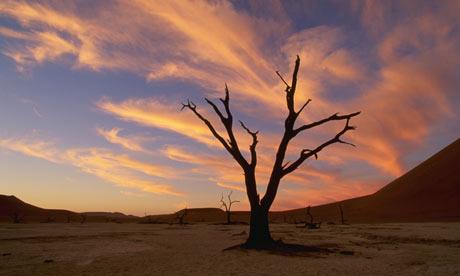 Drought in Namib-Naukluft Park, Namibia