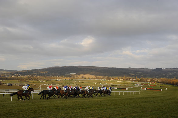 cheltenham: The runners and riders of the Weatherbys Champion Bumper