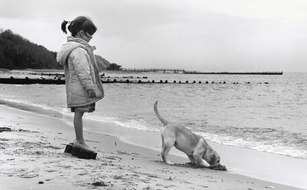 Tall tails: Girl and dog on beach