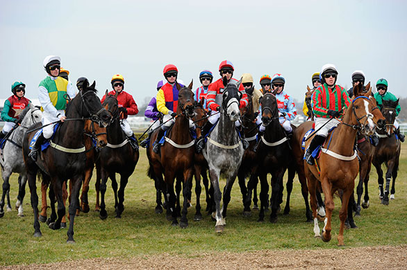 Cheltenham - Day 3: First Race