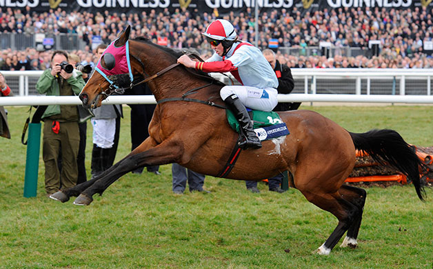 Cheltenham - Day 3: Hadden Frost