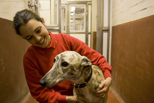 London lives: Sigi Schuster, pet rehomer