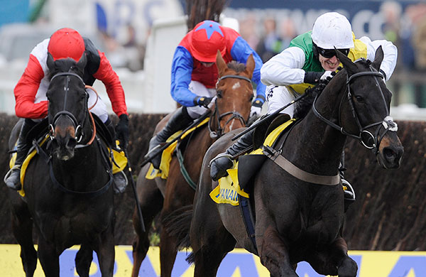 Cheltenham - Day 3: Tony McCoy