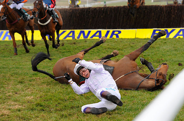 Cheltenham - Day Three: Sam Whaley-Cohen