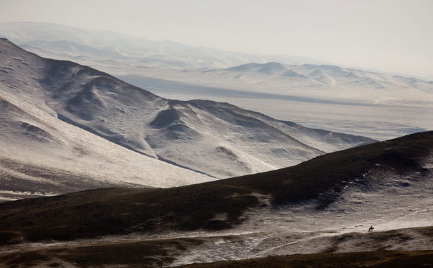 Week in wildlife: Extreme Mongolian Winter Claims Nomadic Herders' Livestock