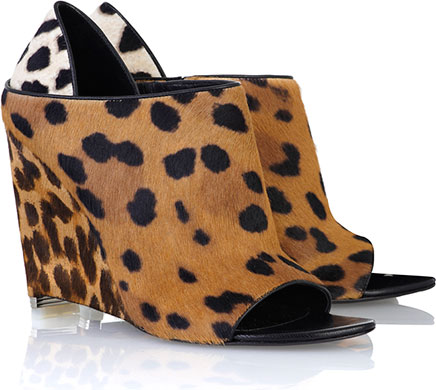 Key Trends: animal: Wedges