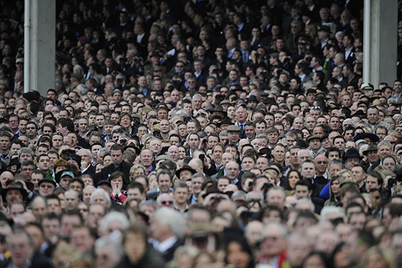 Cheltenham Gold Cup day: Fans in a packed grandstand strain to get a good view