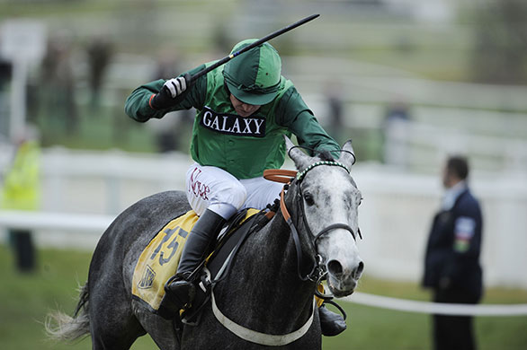 Cheltenham Gold Cup day: Barry Geraghty encourage Soldatino up the hill and over the line to win