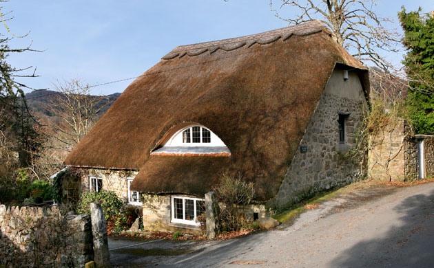 Trading up, trading down: Trading up, trading down dream