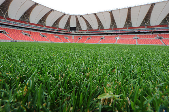 World Cup stadia: The field is pictured at Nelson Mandela