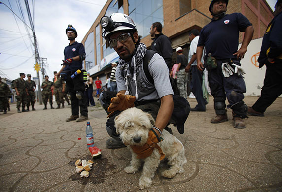 Chile after the quake: A rescue worker comforts a puppy founded alive in Constitucion