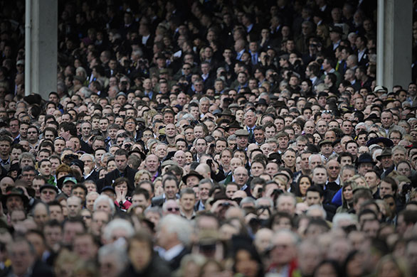 24 Hours in Pictures: A sea of faces in the grandstand watch the first race at Cheltenham