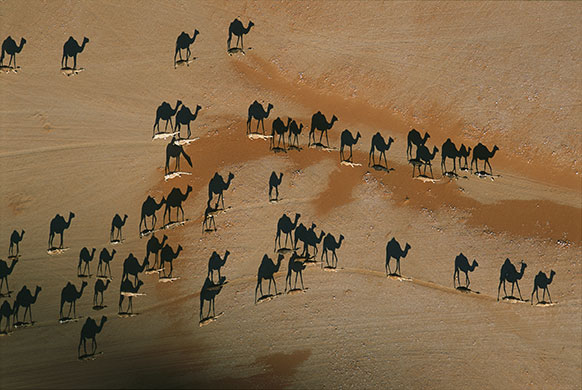 eyewitness: A Photographic Journey to the Heart of the Arabian Desert