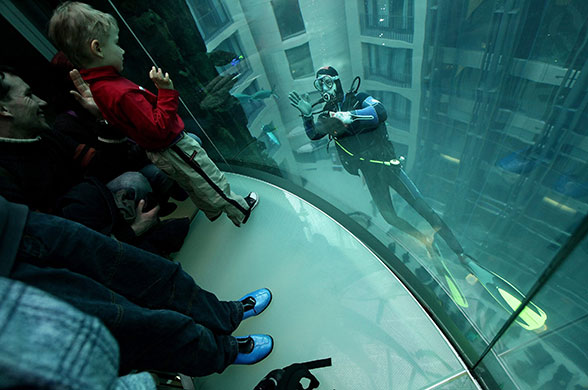 24 hours in pictures: Divers Clean AquaDom Aquarium