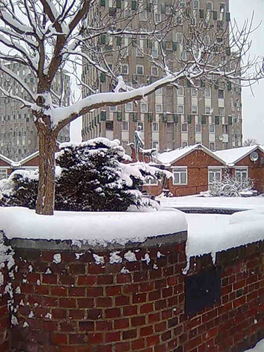 postively public housing: cranbook estate bethnal green snow council tower block 