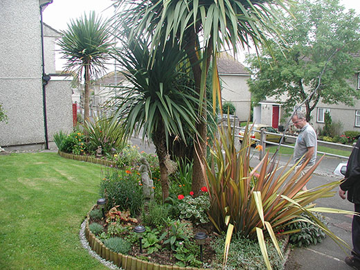 postively public housing: palm trees garden cornwall