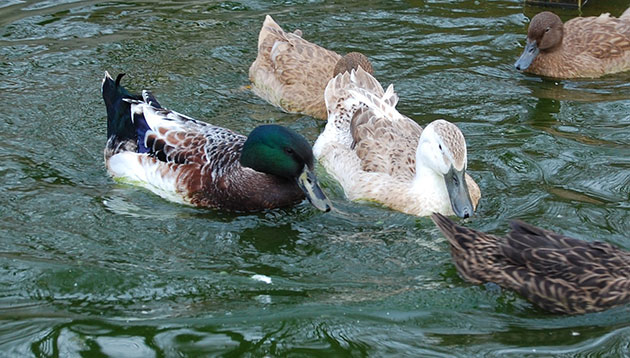 Easter family activities: National Waterfront Museum, Swansea