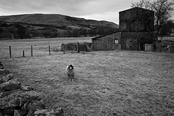 Robert Norbury's folio: A review of Robert Norbury's portfolio