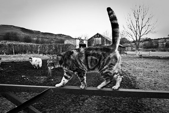 Robert Norbury's folio: A review of Robert Norbury's portfolio