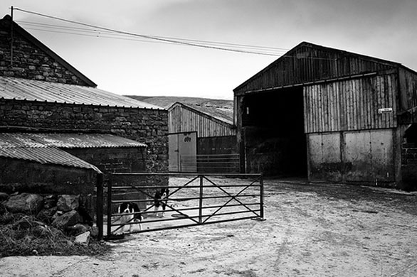 Robert Norbury's folio: A review of Robert Norbury's portfolio