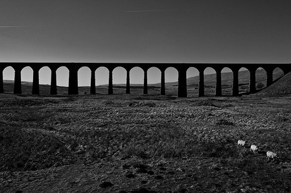 Robert Norbury's folio: A review of Robert Norbury's portfolio