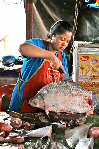 In Pictures: smell: fish market in Vietnam