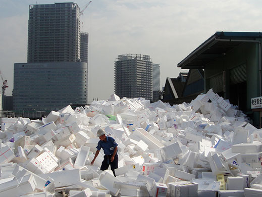 In Pictures: smell: Tsukiji fish market, Tokyo