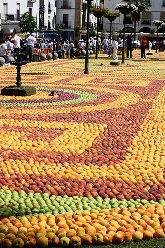 In Pictures: smell: Caceres, Spain