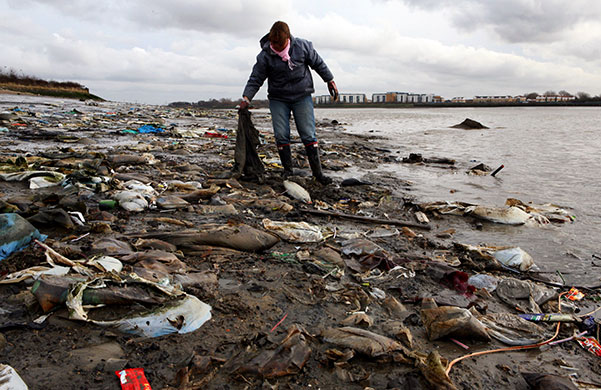 Cleaning the Thames: Debris on the banks of the river