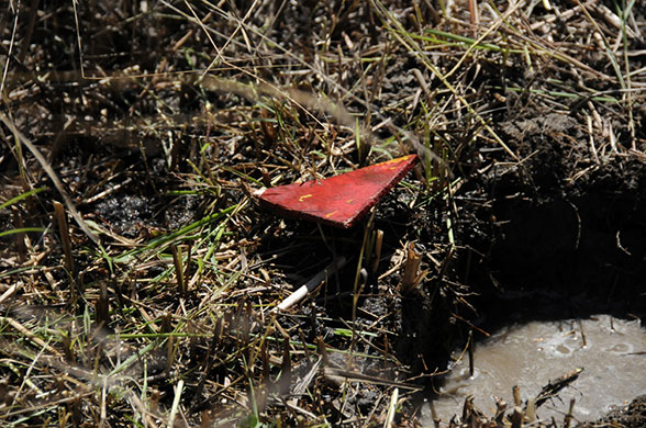 landmines: clearing landmines