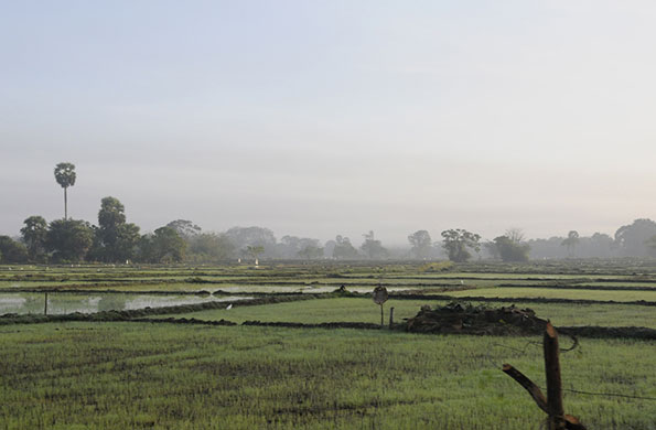 landmines: clearing landmines