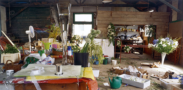 Exhibitionist gallery: Jyll Bradley