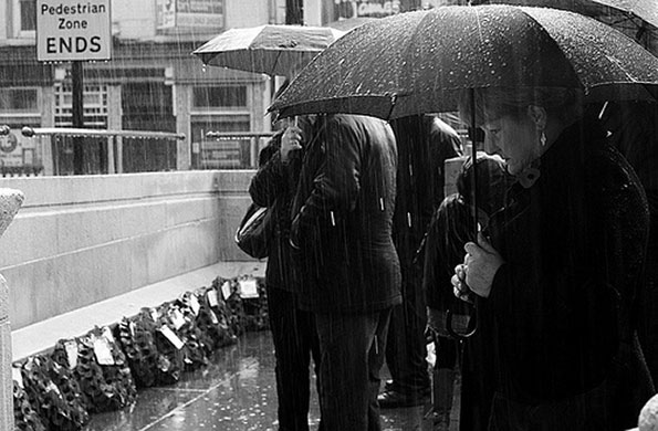 Trell Burton's portfolio: A review of Trell Burton's portfolio