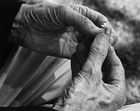 In pictures: Maturity: hands holding flower